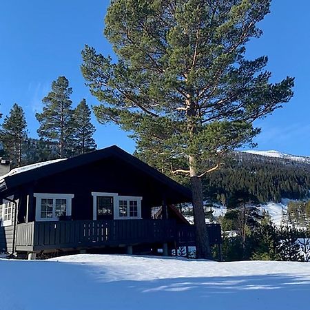 Uvdalhytta - Close To Cross Country And Downhill Skiing Sonstebo Εξωτερικό φωτογραφία