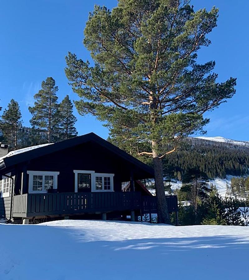 Uvdalhytta - Close To Cross Country And Downhill Skiing Sonstebo Εξωτερικό φωτογραφία